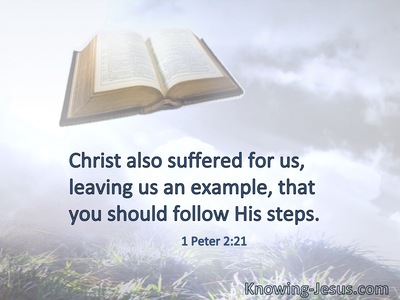 Christ also suffered for us, leaving us an example, that you should follow His steps.